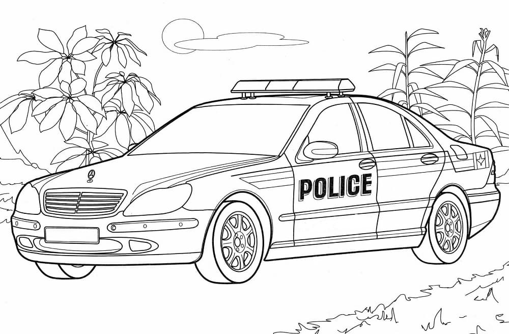 Police Car For Preschoolers