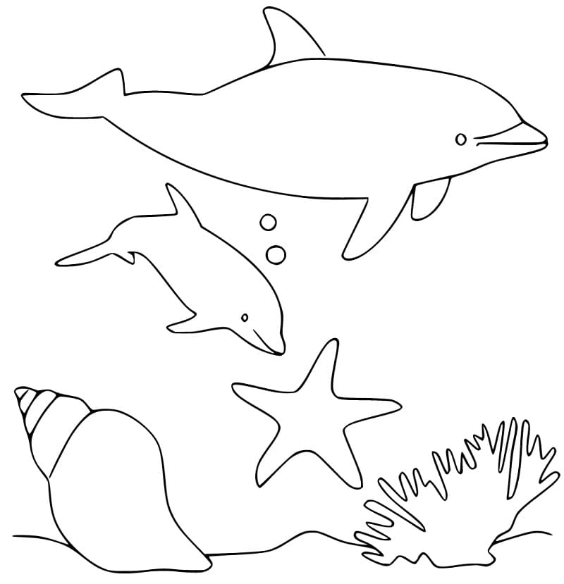Porpoises