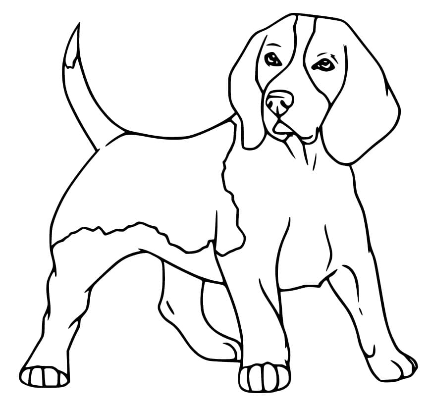 Print Beagle Dog