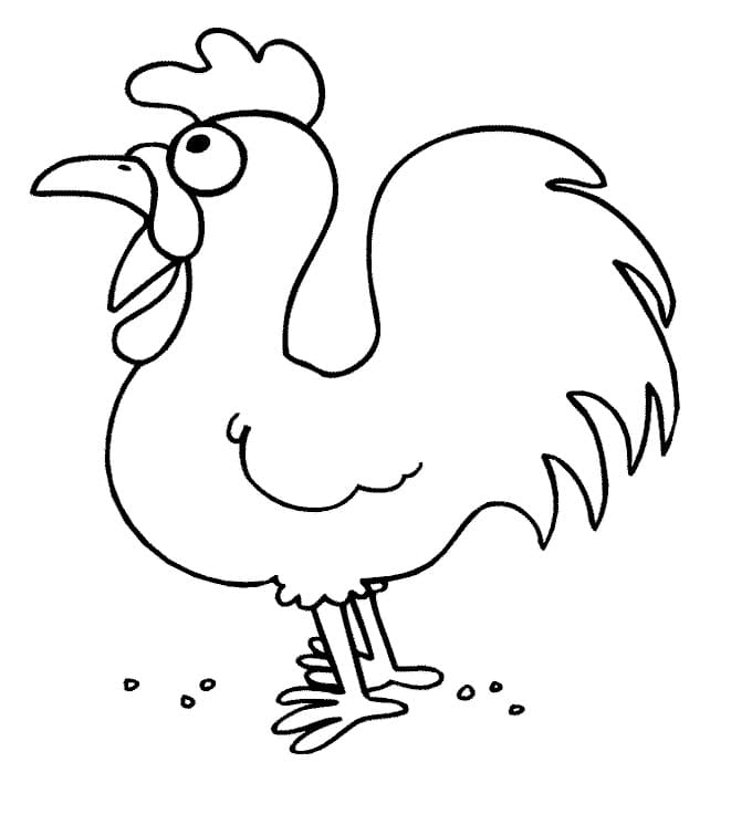 chicken outline printable