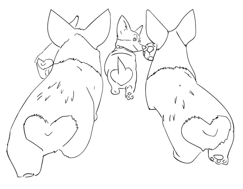 A Corgi Coloring Page Free Printable Coloring Pages for Kids