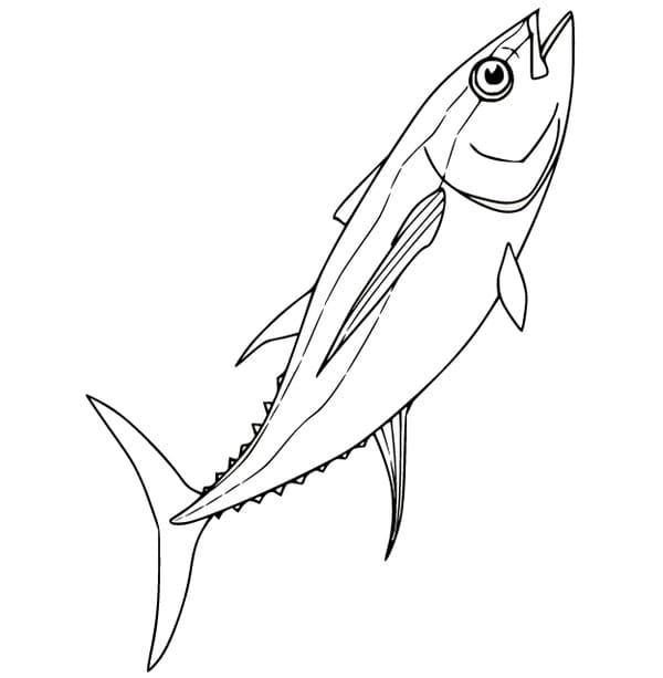 Print Tuna Fish
