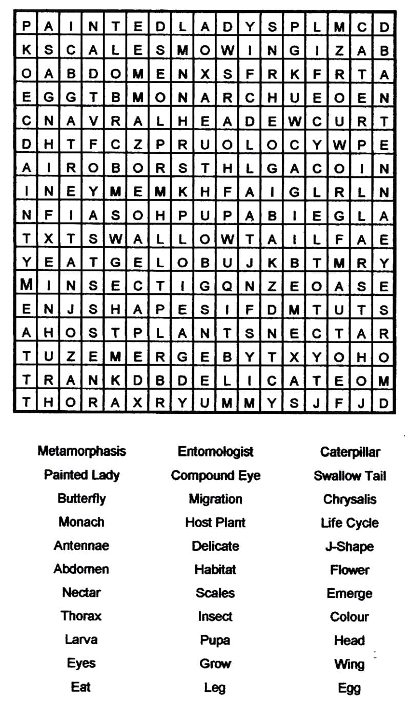 Print Word Search Puzzle
