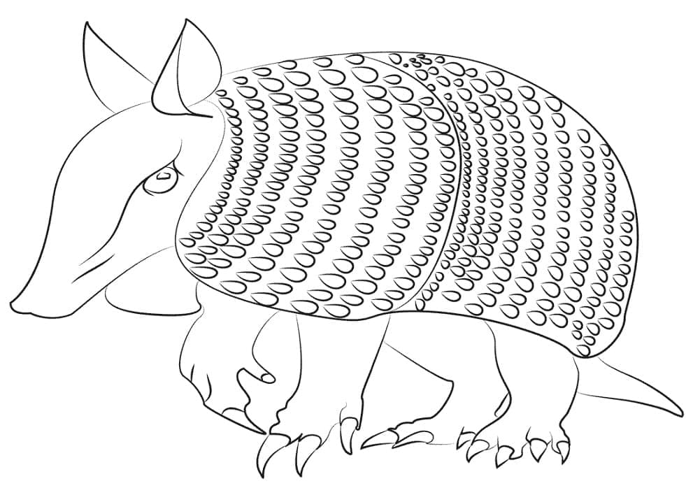 Printable Armadilo Coloring Page - Free Printable Coloring Pages for Kids