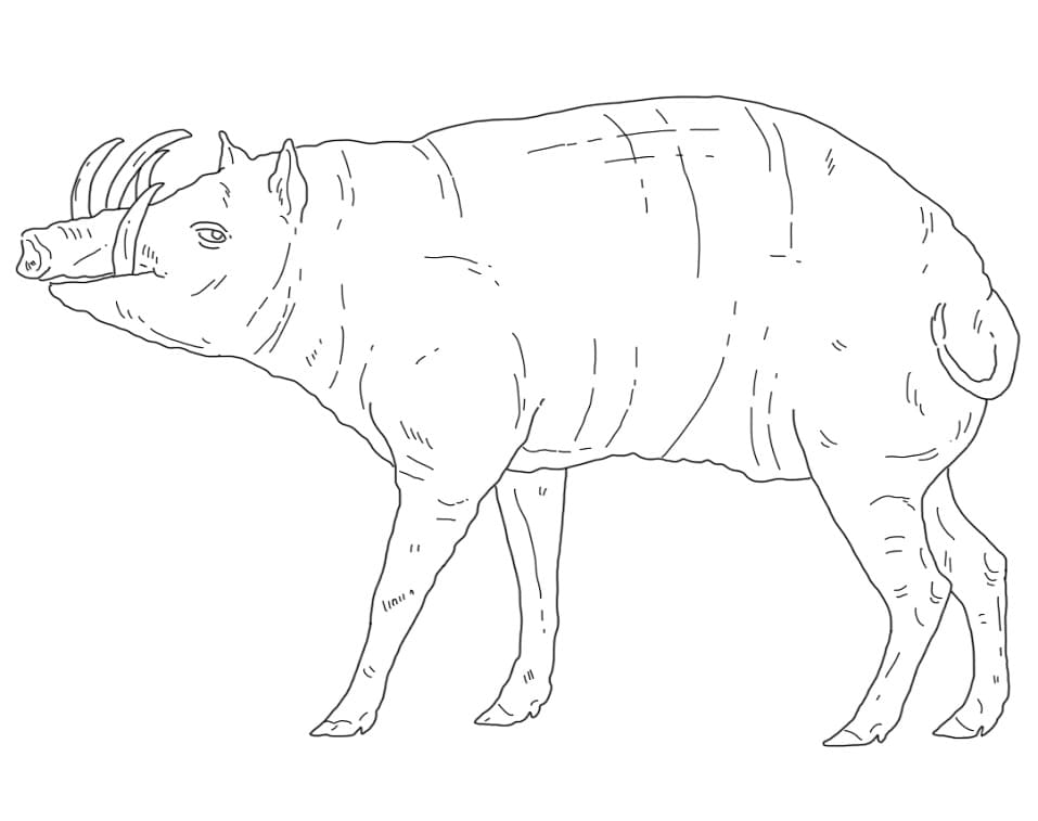 Babirusa Printable Coloring Page - Free Printable Coloring Pages for Kids