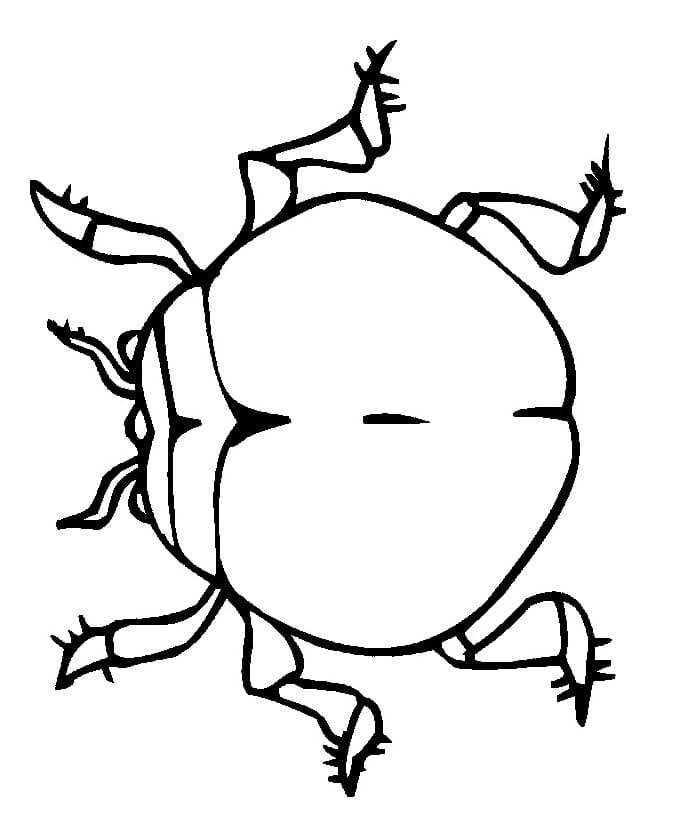 Printable Beetle
