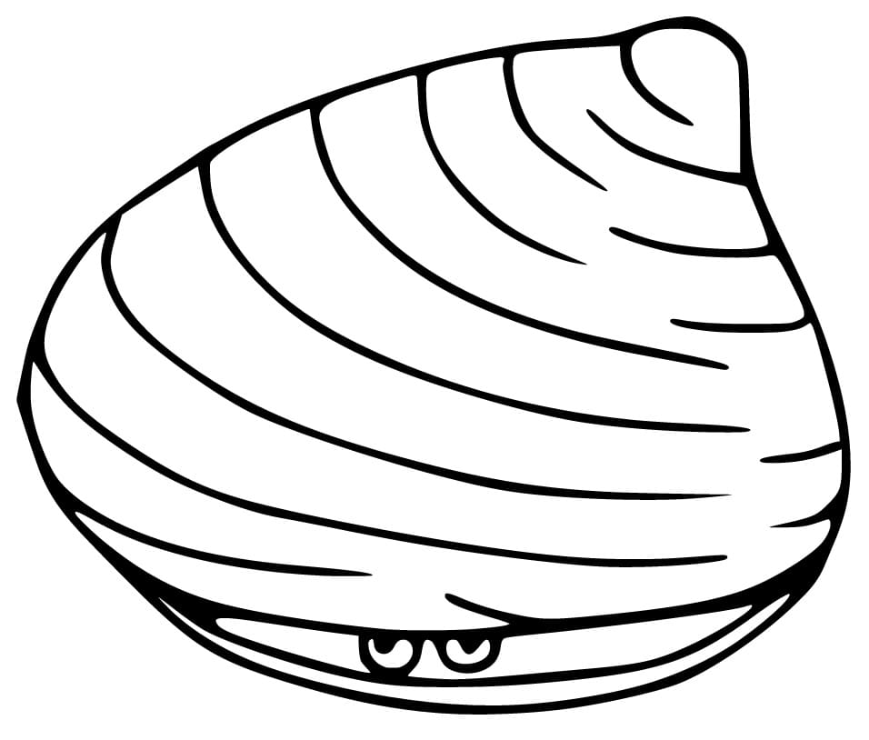 Printable Clam