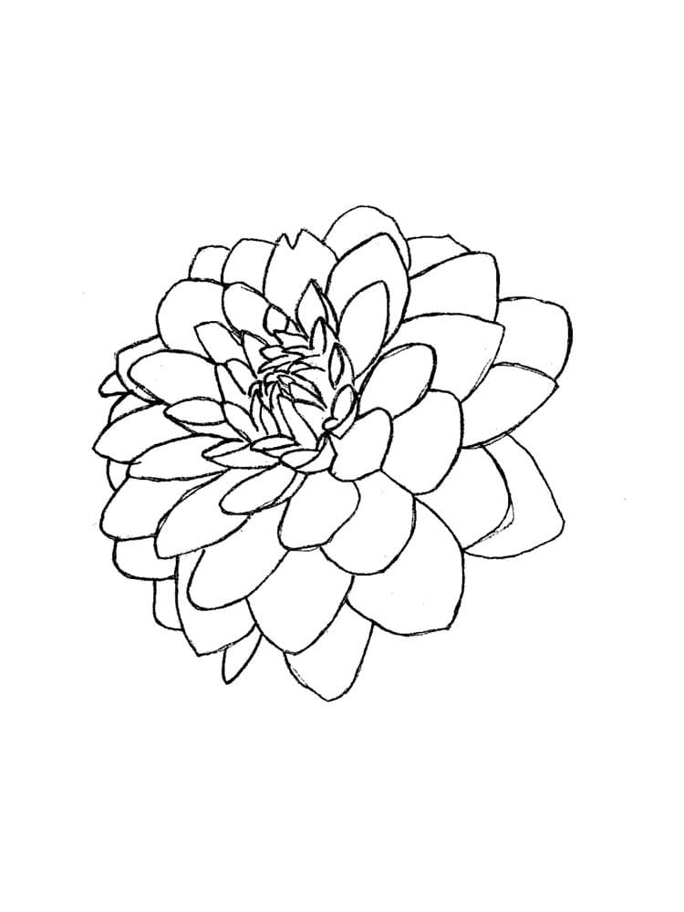 Printable Dahlia Flower