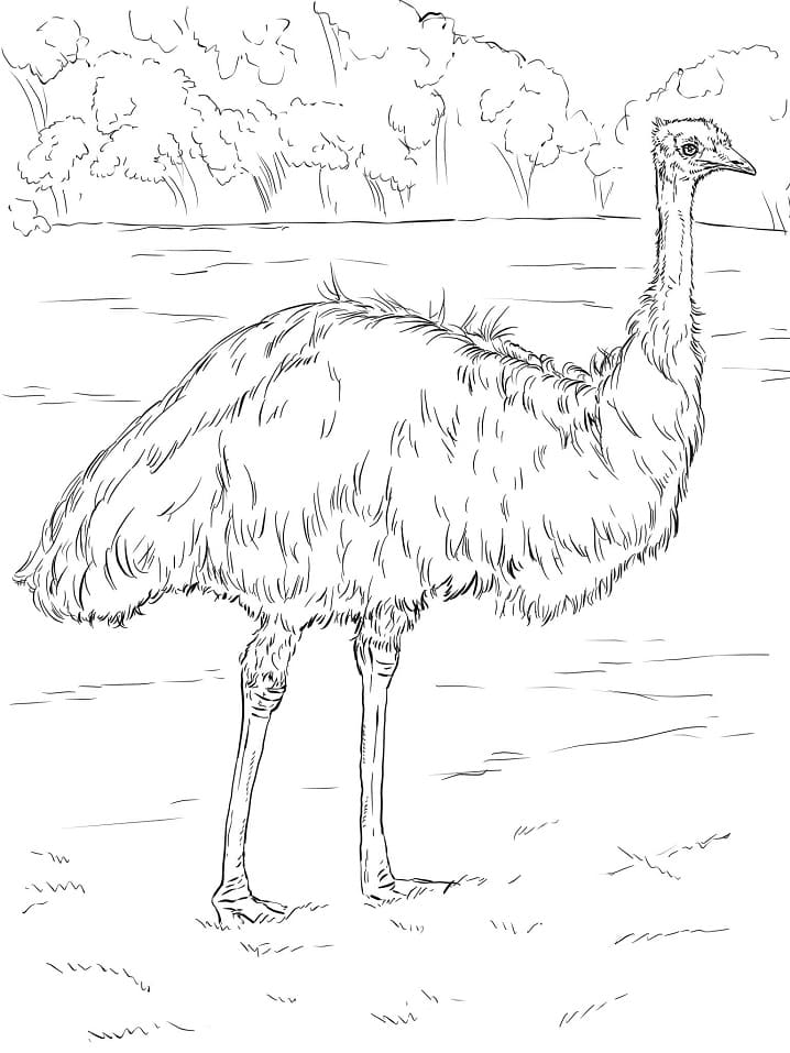 Printable Emu