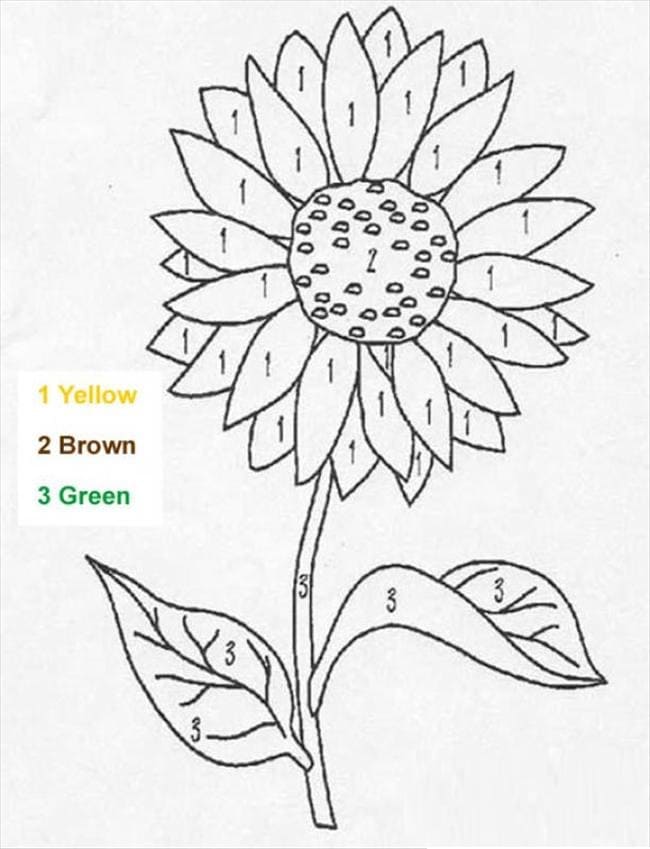 Printable Flower Color by Number Coloring Page Free Printable