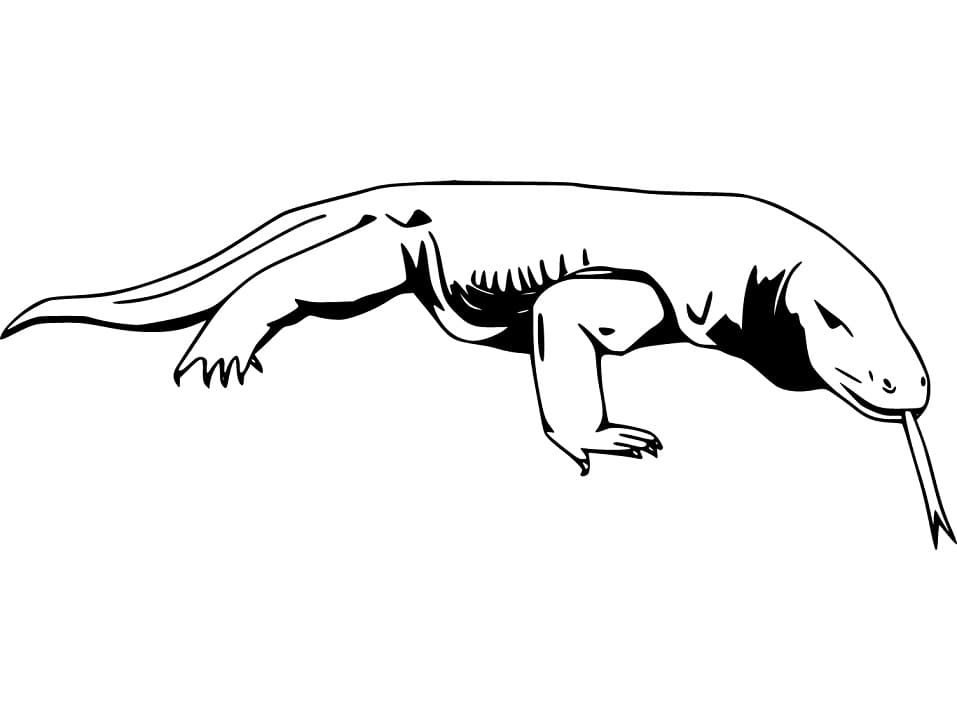 Komodo Dragon 4 Coloring Page - Free Printable Coloring Pages for Kids