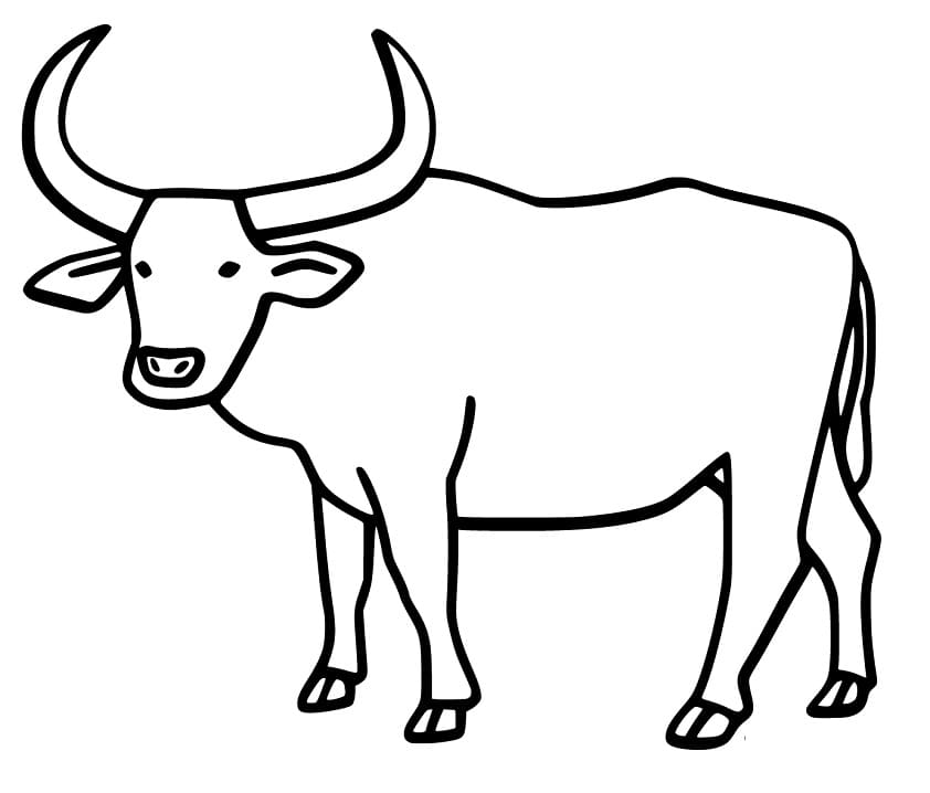 Printable Ox Coloring Page - Free Printable Coloring Pages for Kids