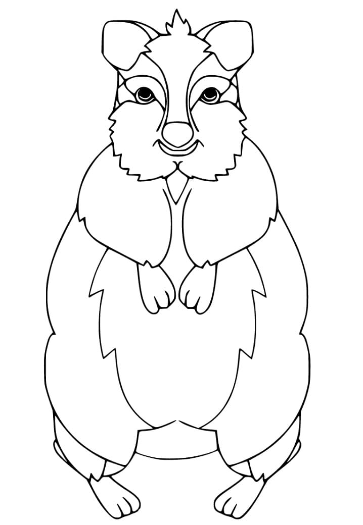 Printable Quokka Coloring Page - Free Printable Coloring Pages for Kids