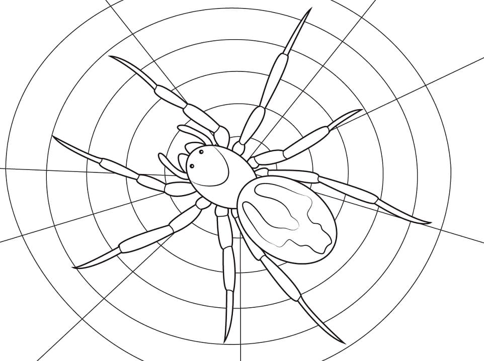 Printable Easy Spider Coloring Page - Free Printable Coloring Pages for ...