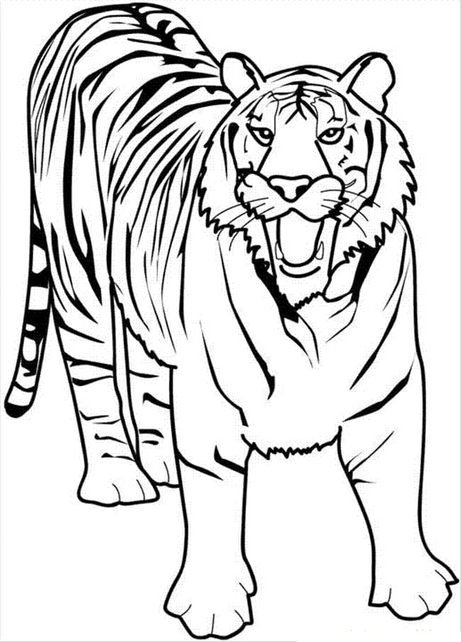 Printable Tiger