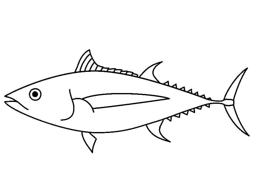 Printable Tuna Fish