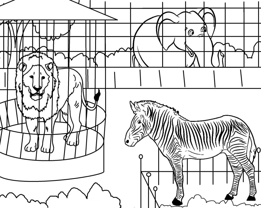 Printable Zoo Animals Coloring Page - Free Printable Coloring Pages for Kids