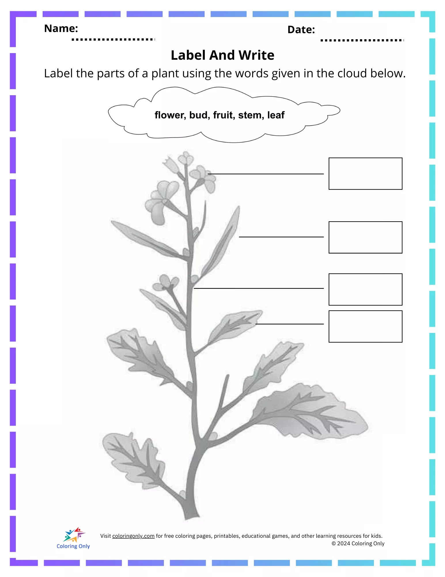 Printable worksheet template
