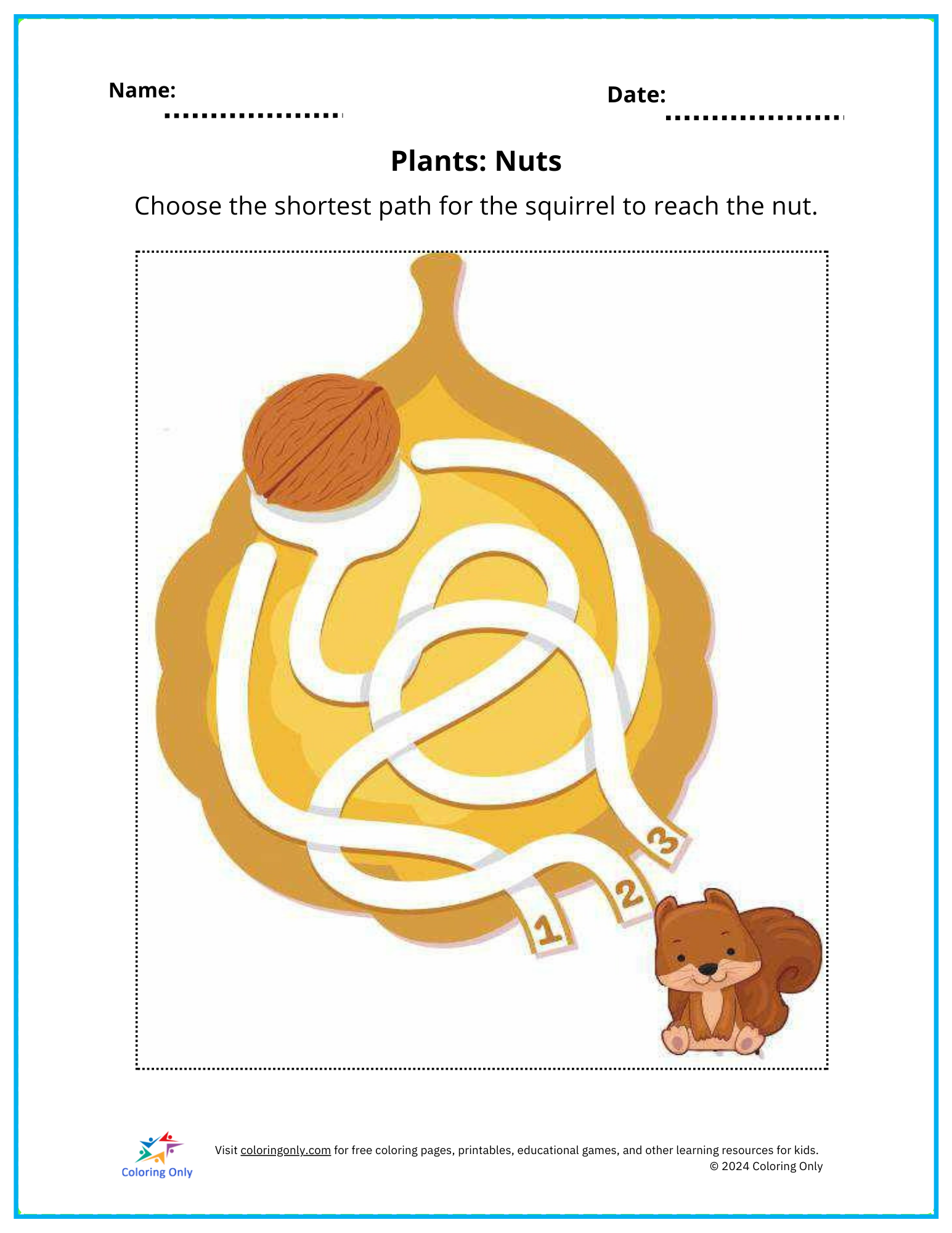 Plants: Nuts Free Printable Worksheet