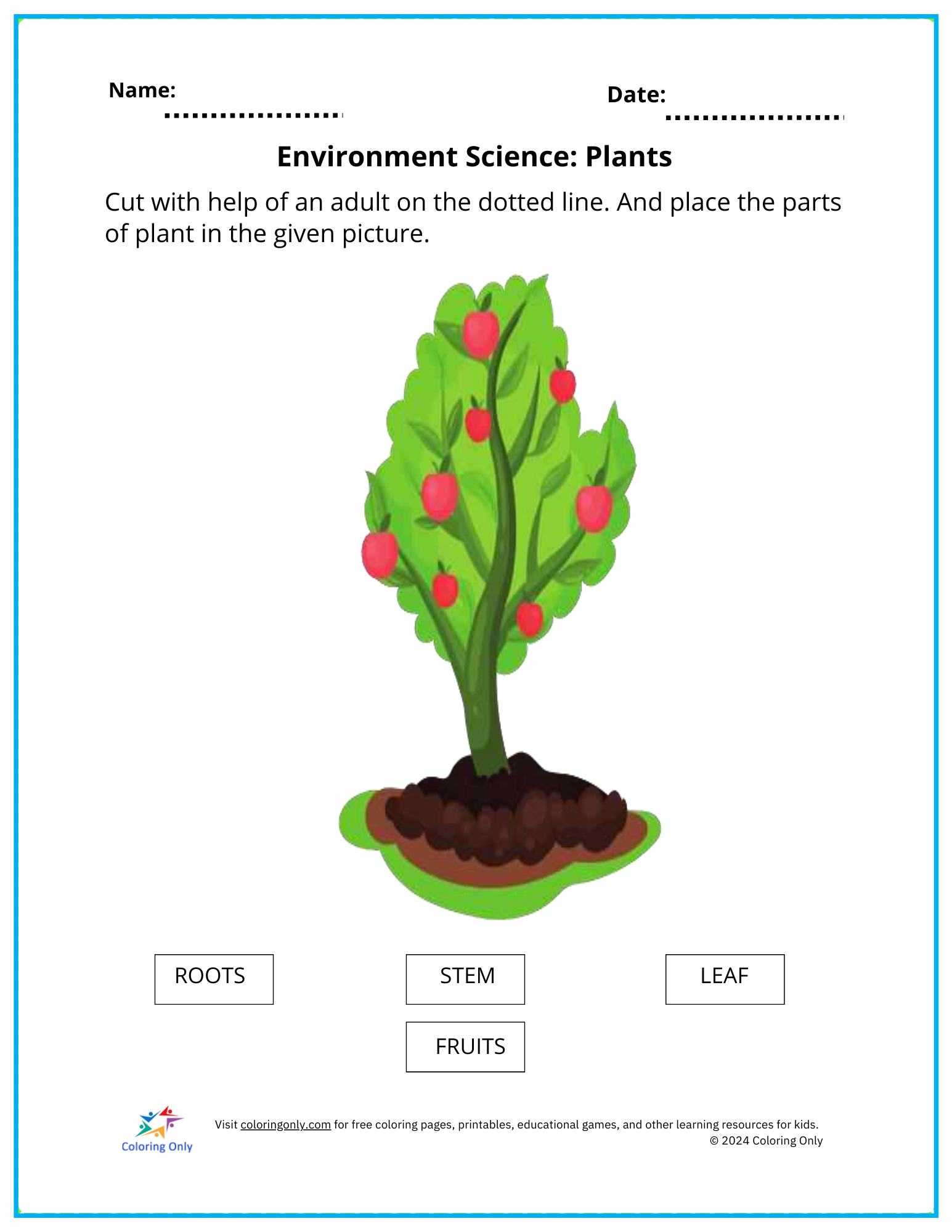 Environment Science: Plants Free Printable Worksheet