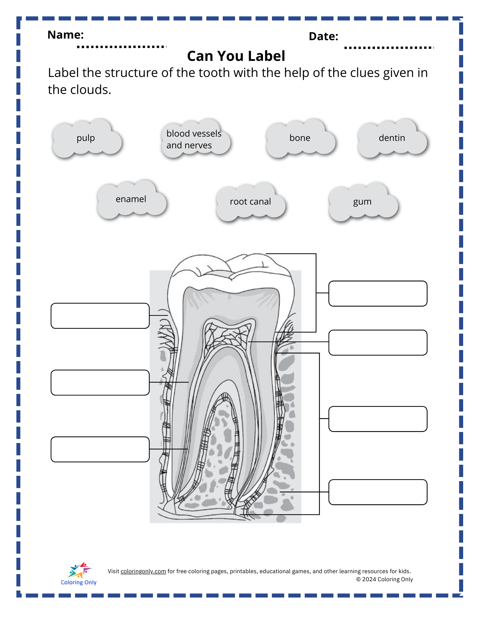 Can You Label Free Printable Worksheet