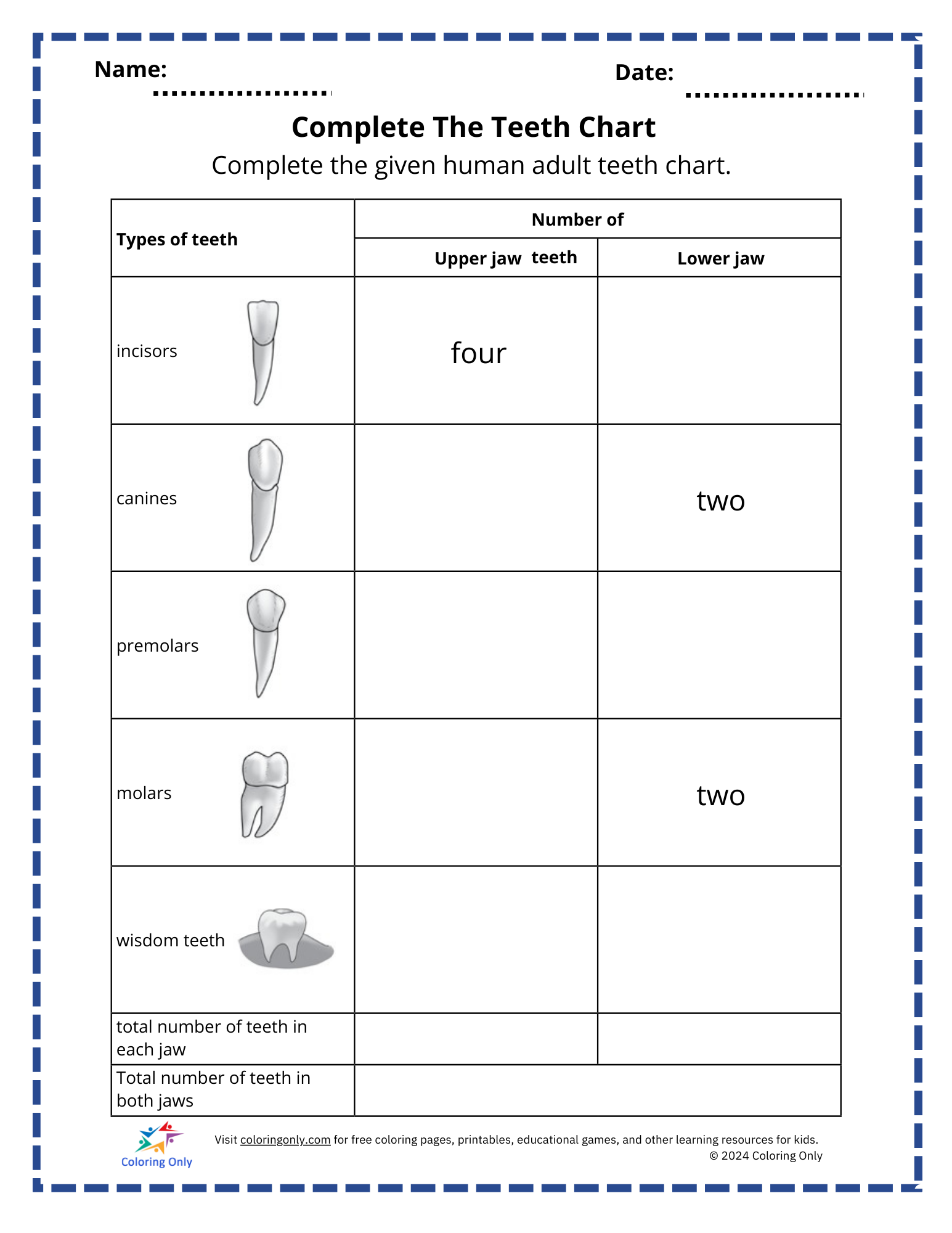 Complete The Teeth Chart Free Printable Worksheet