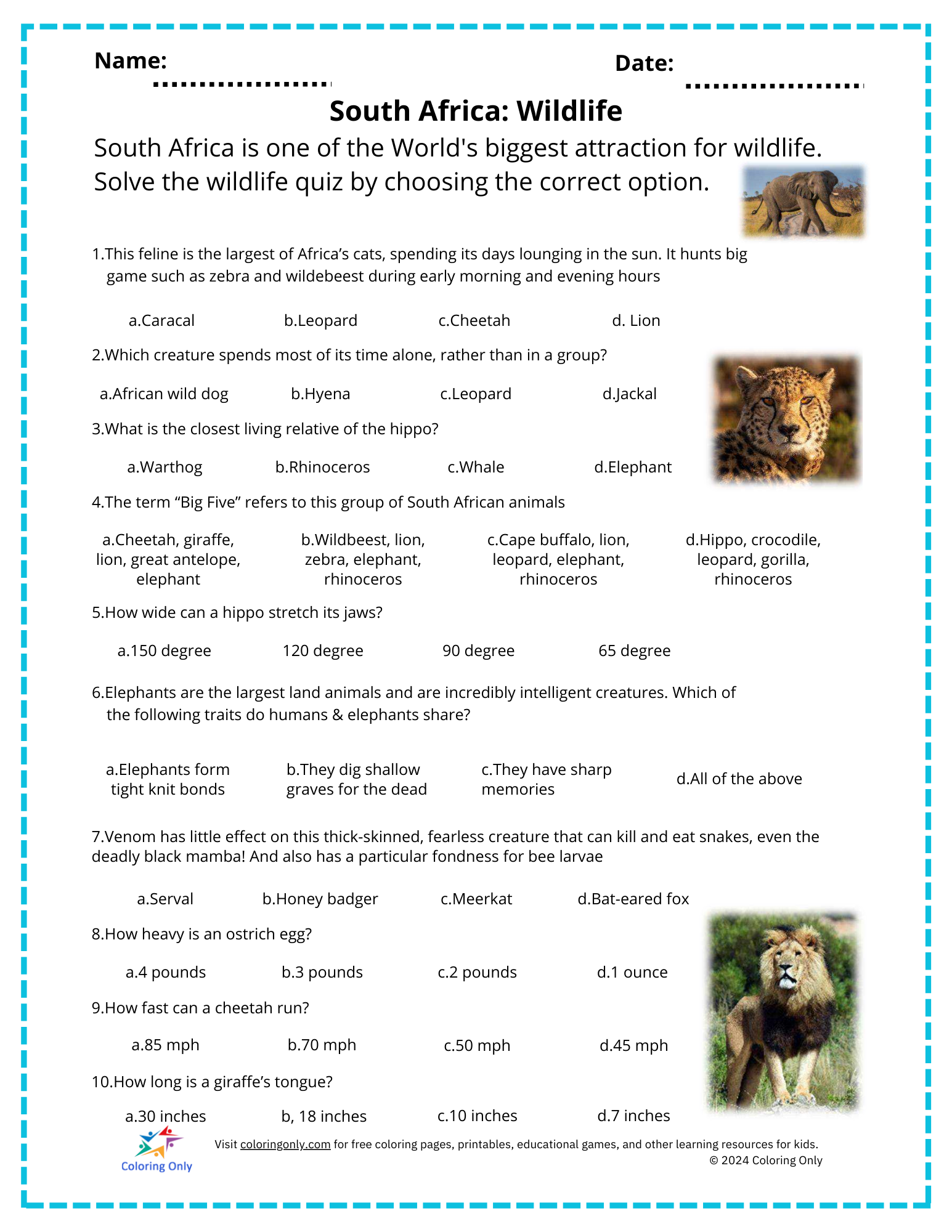 Printable worksheet template