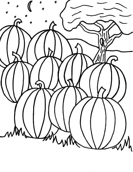 Scarecrow with Pumpkin Patch Coloring Page - Free Printable Coloring