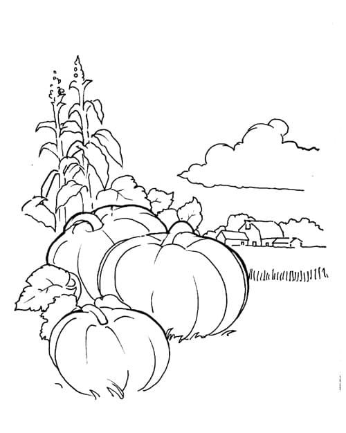 Pumpkin Patch Free to Color