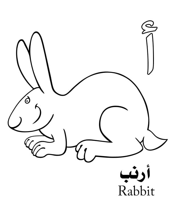 Rabbit Arabic Alphabet