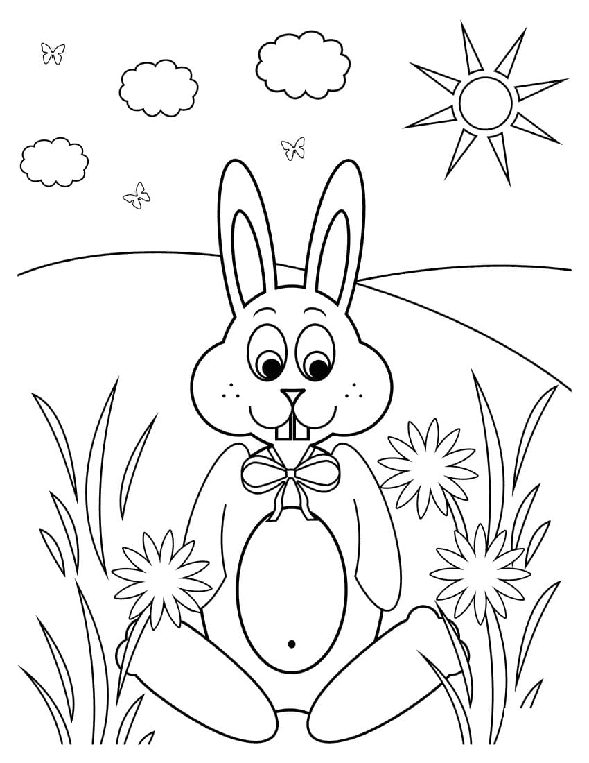 Rabbit on Flower Field
