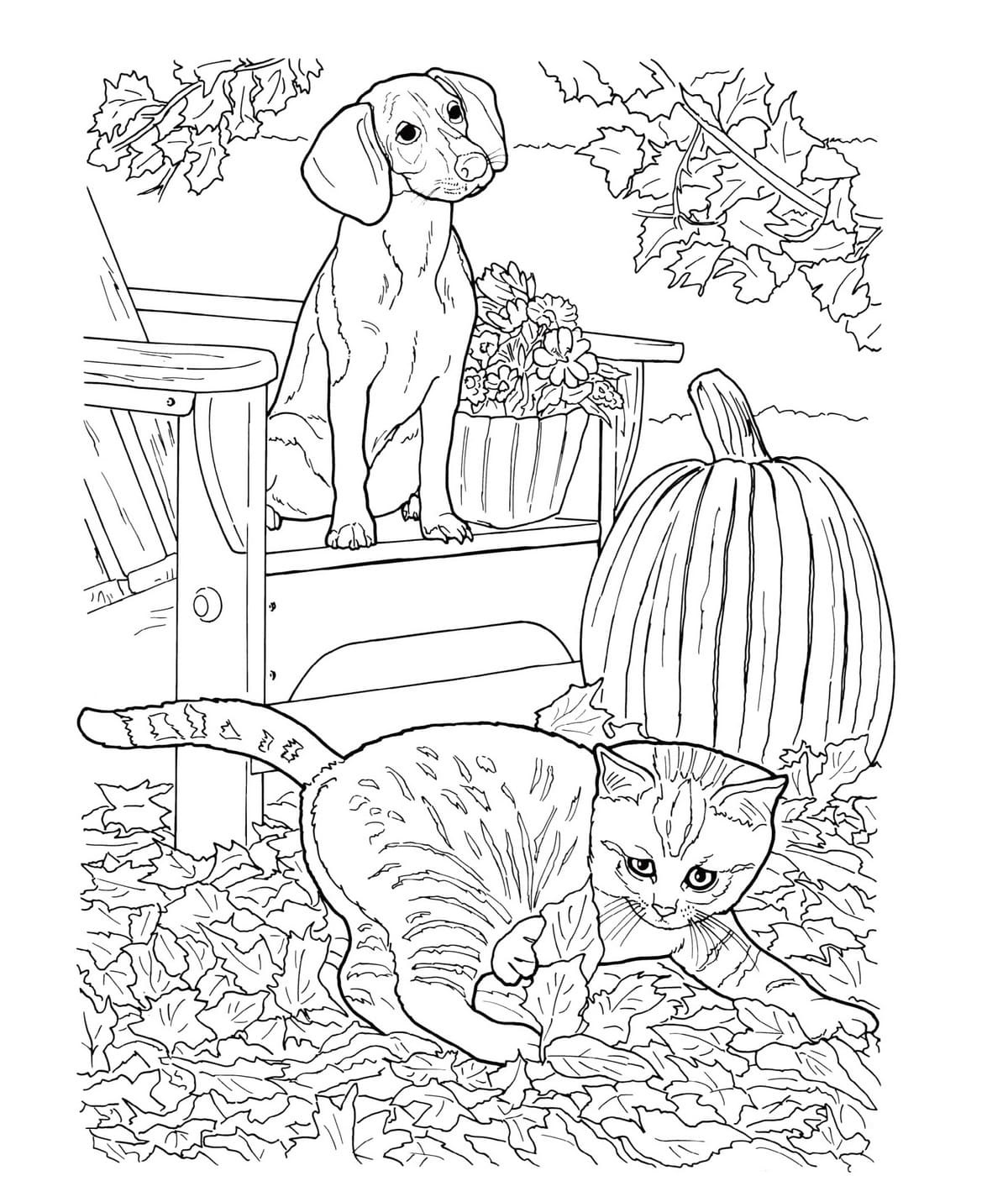 Realistic Dog and Cat Coloring Page Free Printable Coloring Pages for