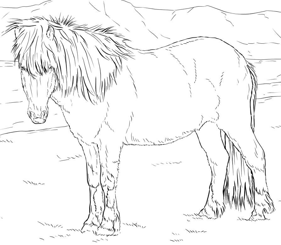 realistic icelandic horse coloring page free printable coloring pages for kids