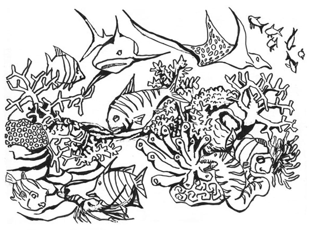 Realistic Ocean Animals Coloring Page   Free Printable Coloring ...