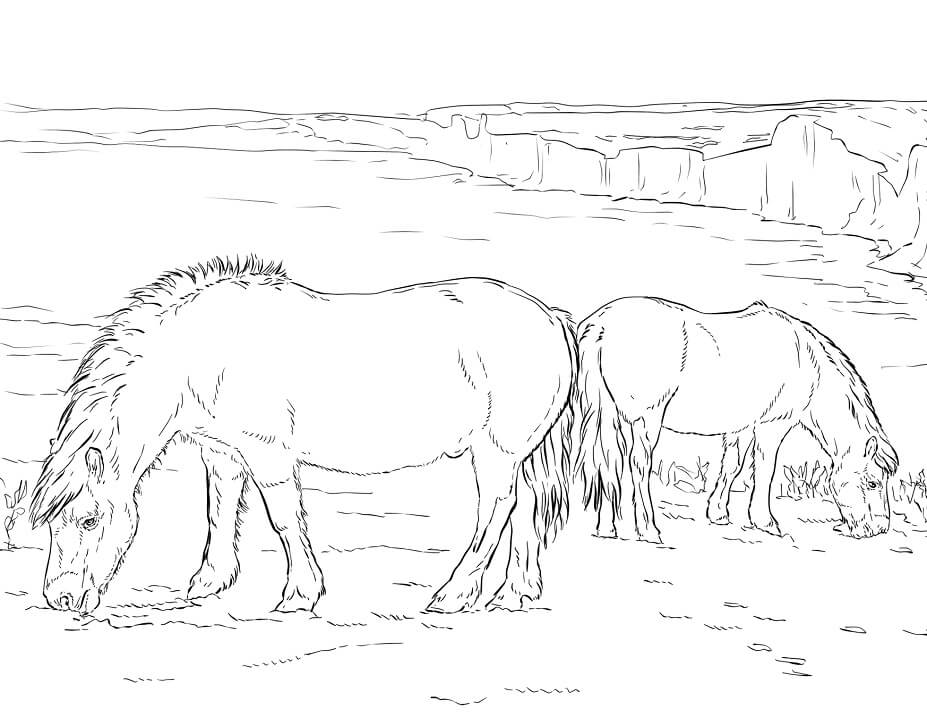 Realistic Ponies Coloring Page - Free Printable Coloring Pages for Kids