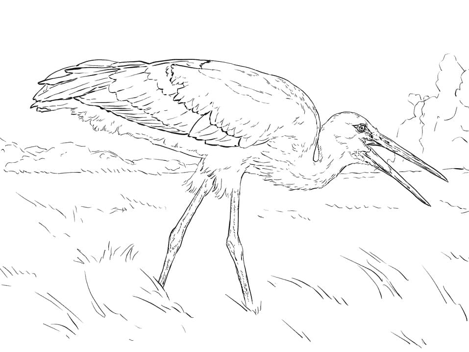 Realistic Stork