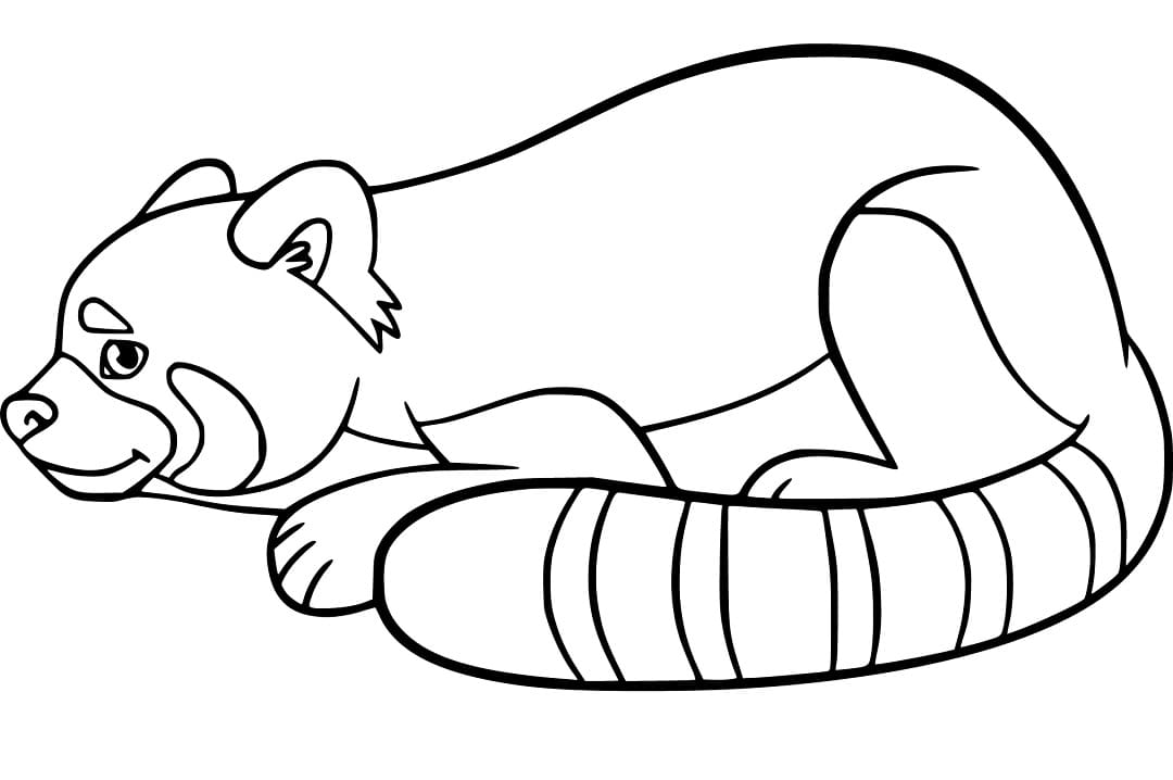 Red Panda Coloring Pages Free Printable Coloring Pages for Kids