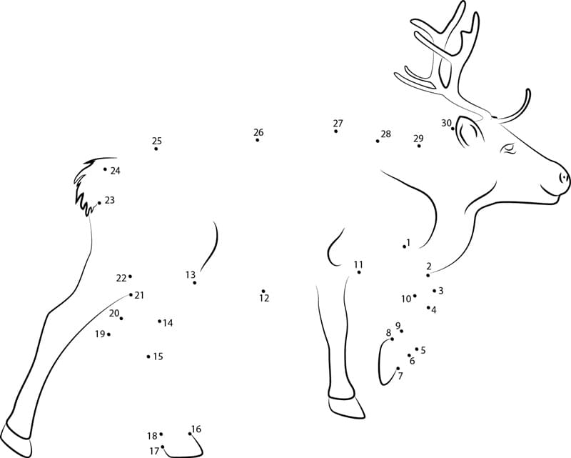 Reindeer Dot to Dots for Children