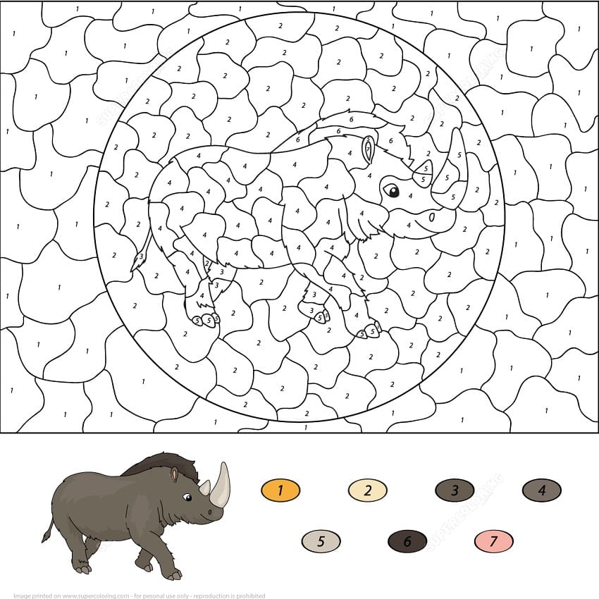 Rhino Color by Number