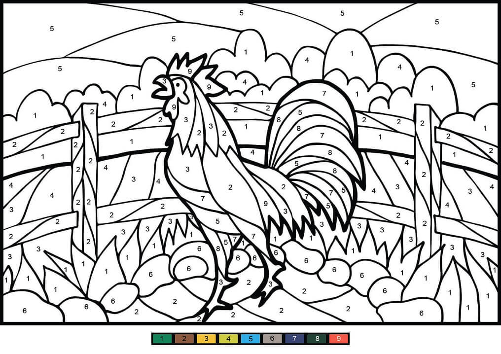 Rooster Color by Number