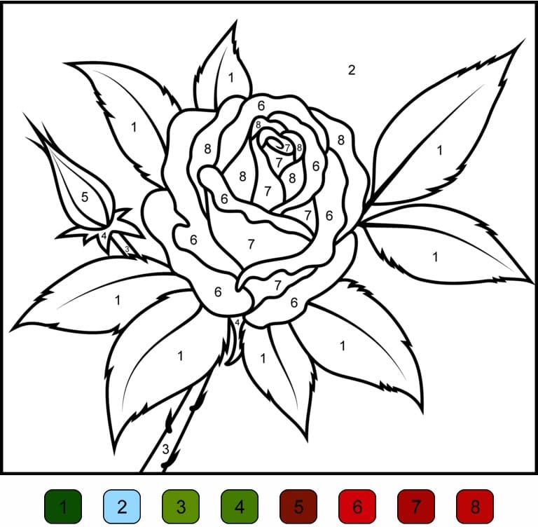 Rose Flower Color by Number