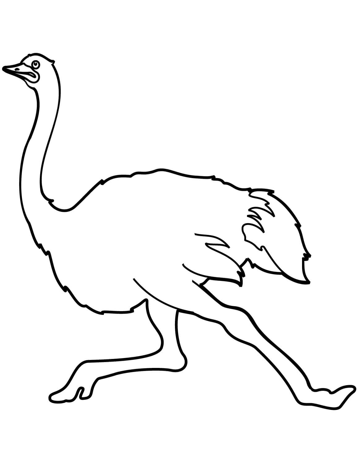 Ostrich with Eggs Coloring Page - Free Printable Coloring Pages for Kids