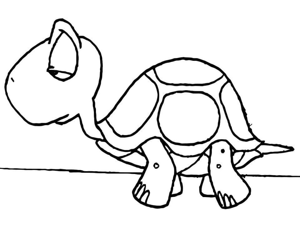 Sad Turtle