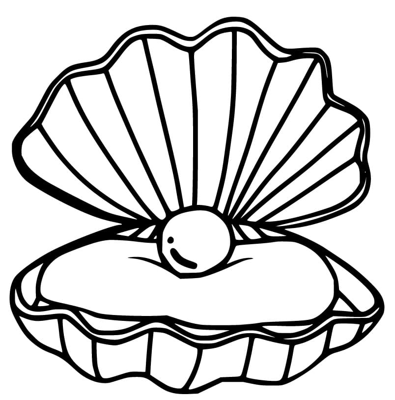 Scallop 4 Coloring Page - Free Printable Coloring Pages for Kids