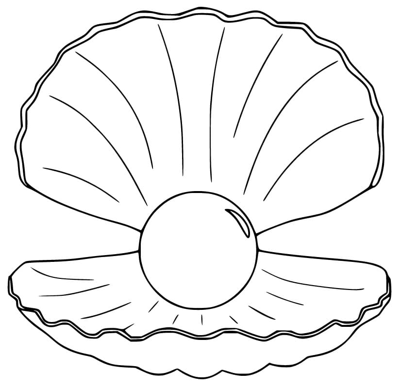 Clam With Pearl Coloring Pages