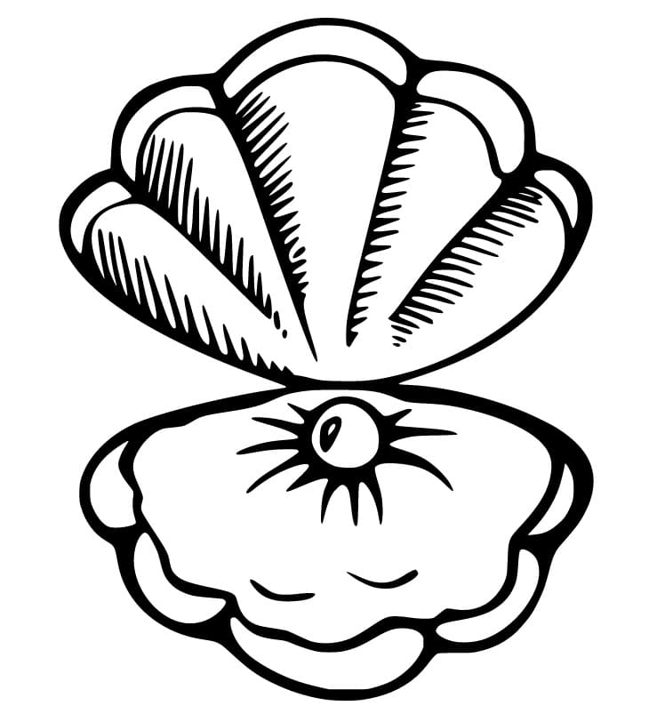 oyster coloring page