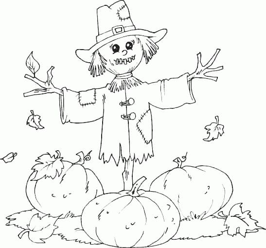 Scarecrow with Pumpkin Patch