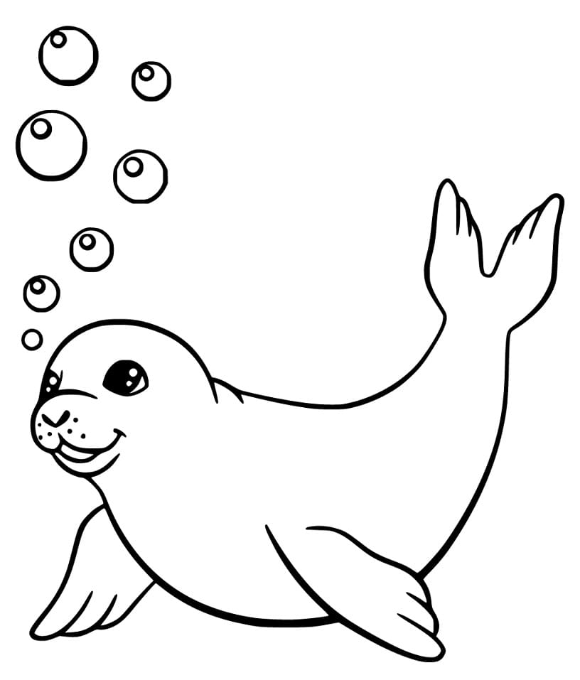 Seal Swimming Coloring Page - Free Printable Coloring Pages for Kids