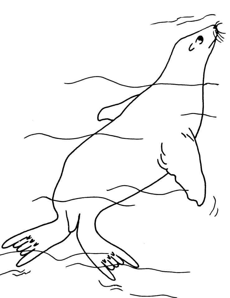 Seal Under Water