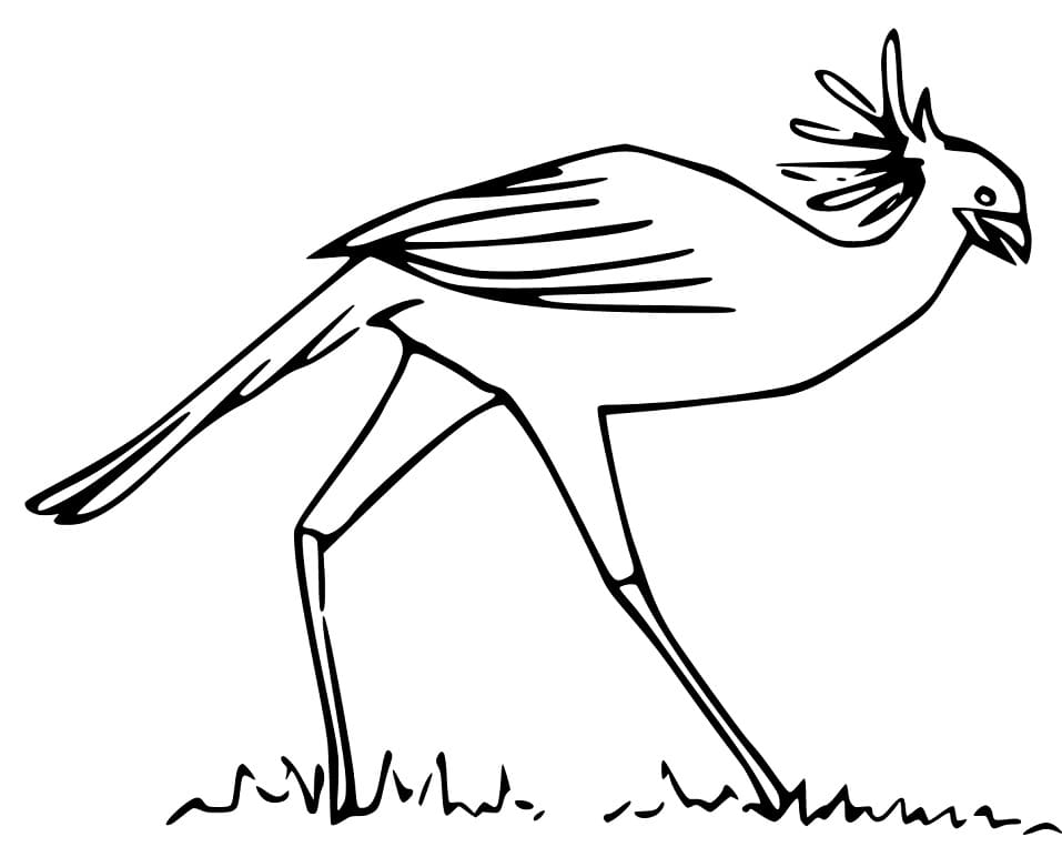Secretary Bird Coloring Pages - Free Printable Coloring Pages for Kids
